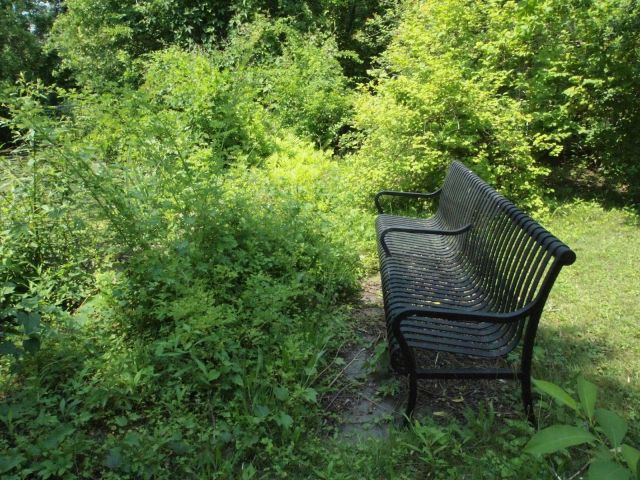 If it cannot be maintained with chemicals or a machine it does not seem to get done.