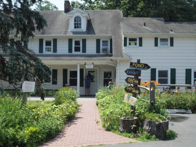 Center for Science Teaching and Learning.