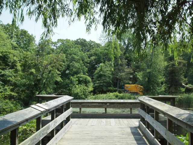 Noon on the pier and it all smelled so deliciously green.